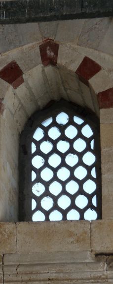 Home Page Image